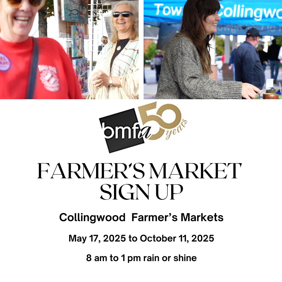 BMFA Summer Market Program