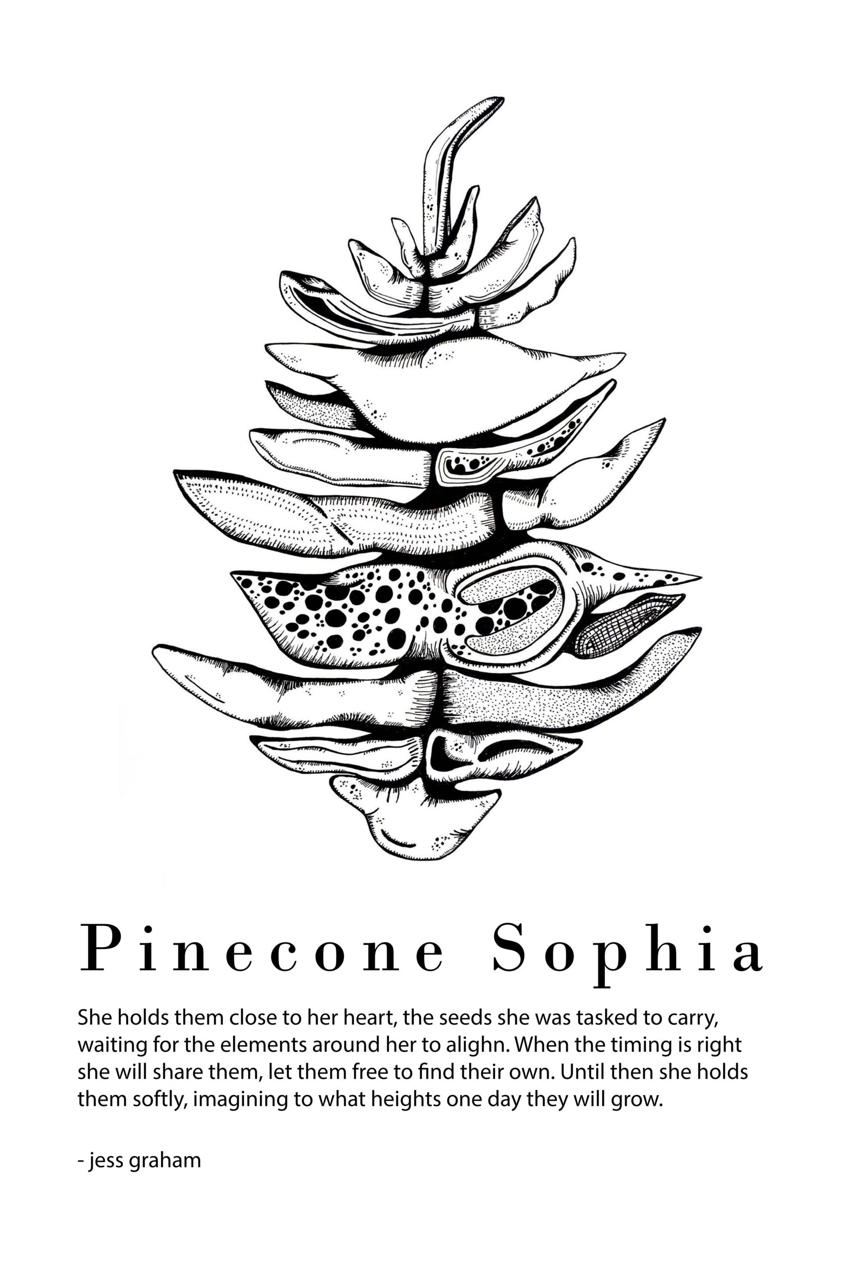 16x24 Pinecone Sophia